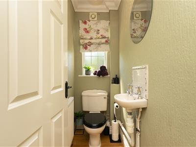 Picture 23